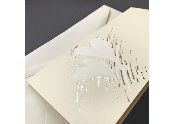 svadobne oznamenia C051038 a