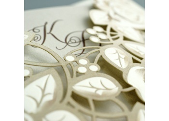 svadobne oznamenia F1454 d