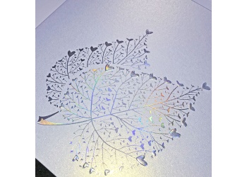 svadobne oznamenia F965q c